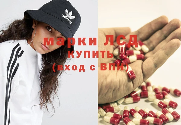 спайс Арсеньев