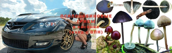 mix Аркадак