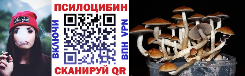 Галлюциногенные грибы Psilocybine cubensis  Печоры 